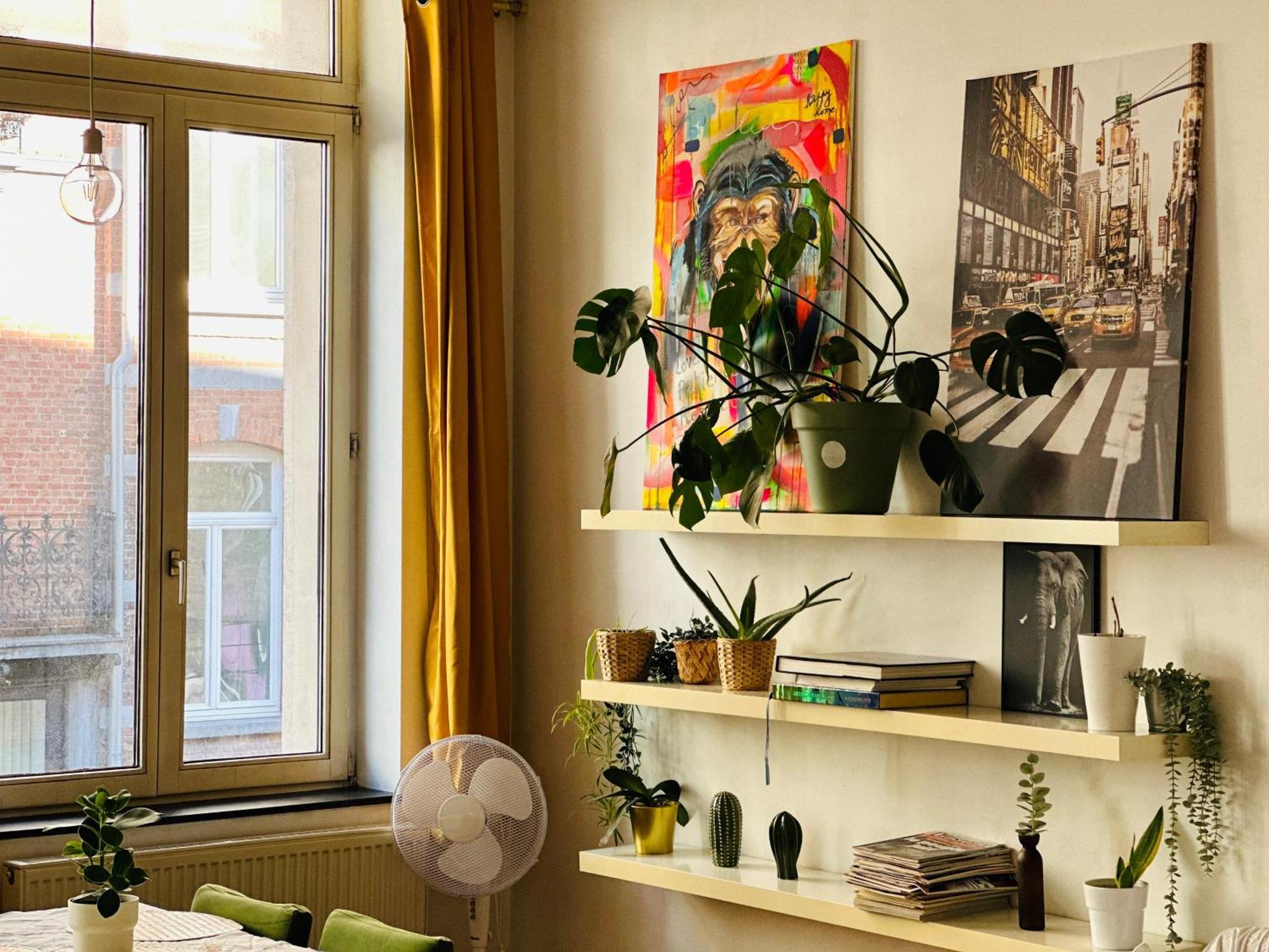 Down-Town 1 Bedroom Flat 布鲁塞尔 外观 照片